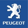 DISPLAY AFISAJ PEUGEOT